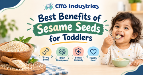 Best Benefits of Sesame Seeds for Toddlers