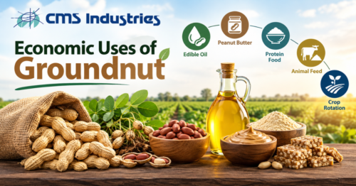 Economic Uses of Groundnut