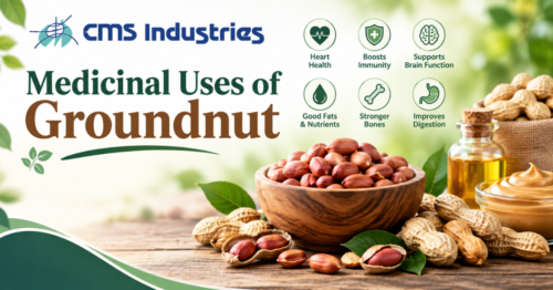 Medicinal Uses of Groundnut/peanuts