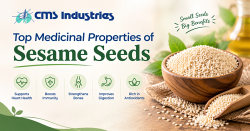 Top Medicinal Properties of Sesame Seeds