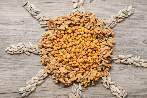 What Is the Difference Between Wheat and Barley