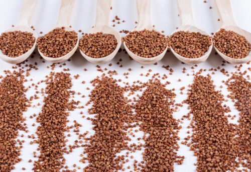 Ragi Seeds Health Benefits for Male and Their Nutrition Facts
