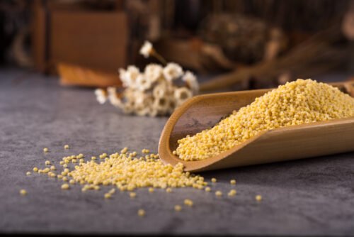 Little Millet Vs Foxtail Millet: What's The Difference