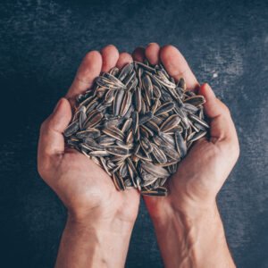 Top 10 Sunflower Seeds Benefits for Male​