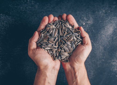 Top 10 Sunflower Seeds Benefits for Male​