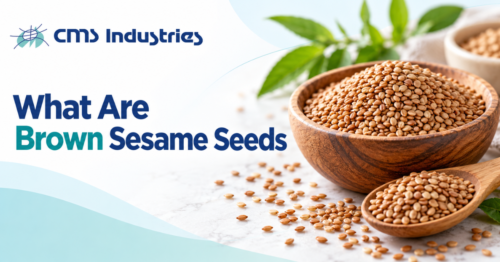 What Are Brown Sesame Seeds