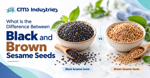 What Is the Difference Between Black and Brown Sesame Seeds