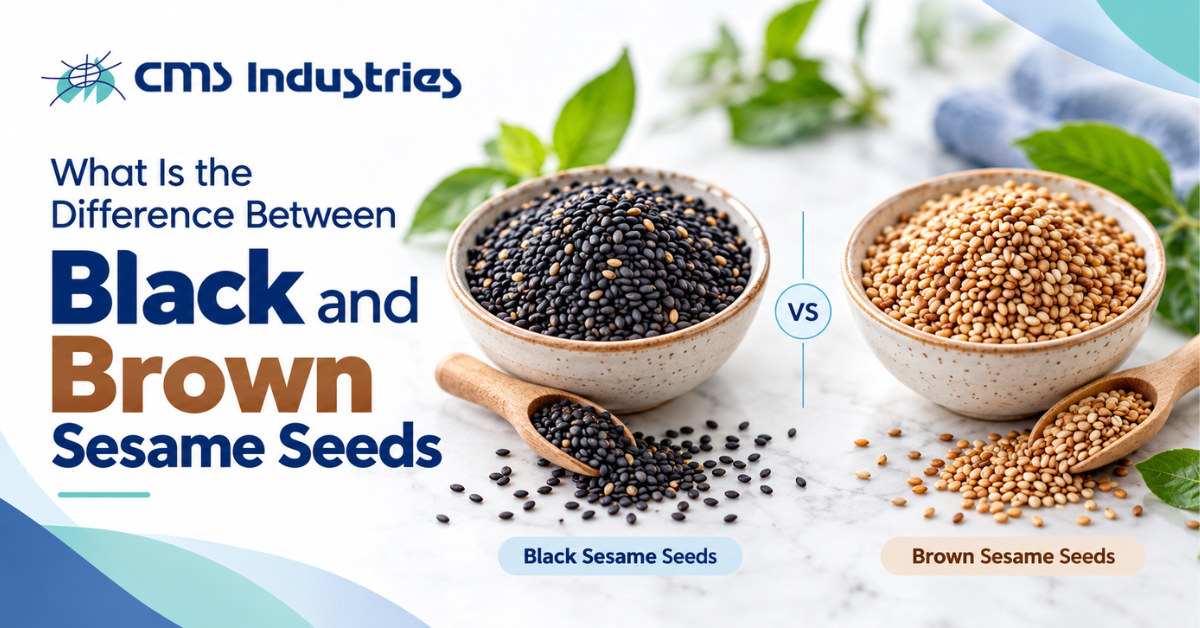 What Is the Difference Between Black and Brown Sesame Seeds
